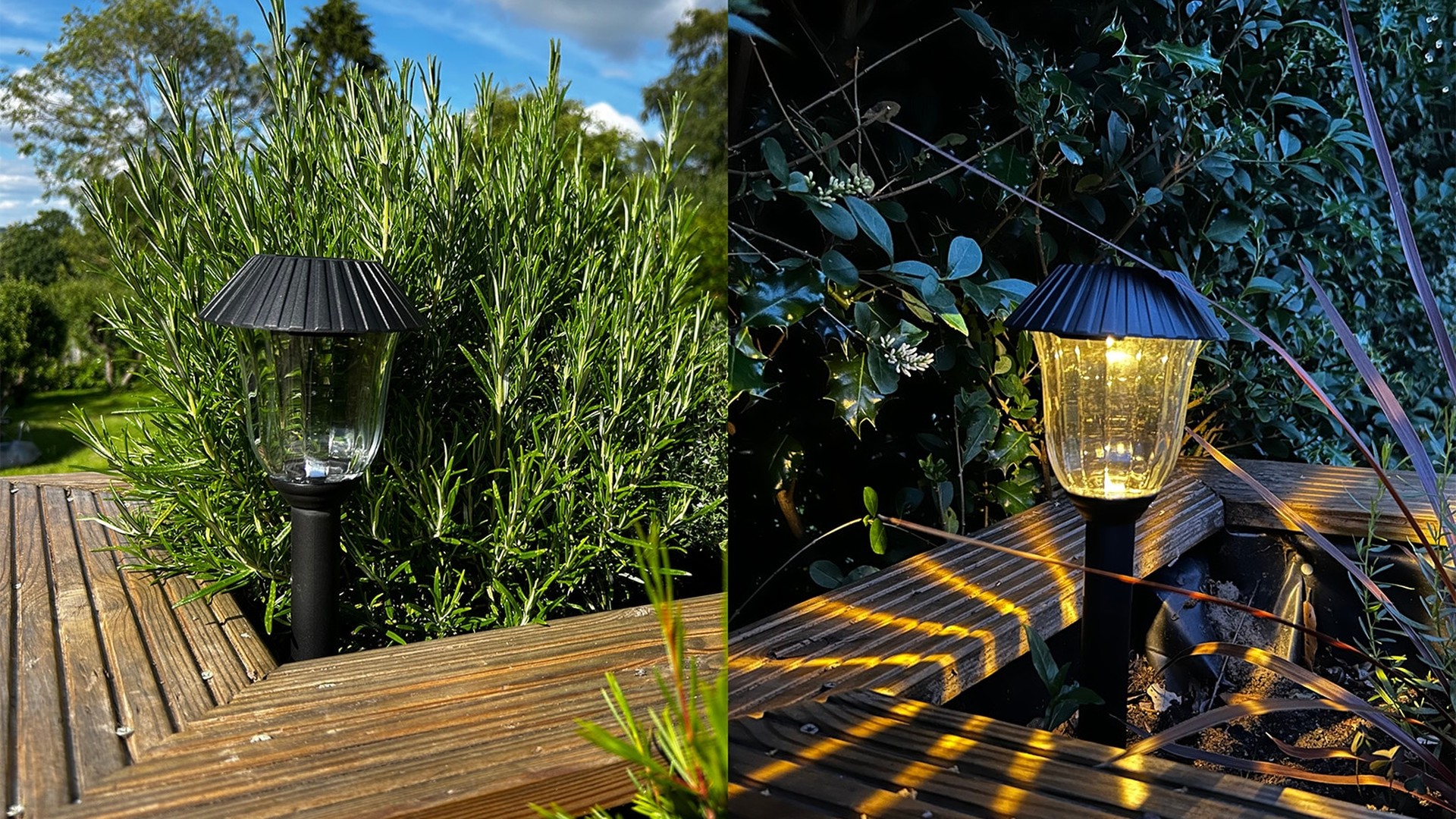 Automated garden lights illuminating a pathway at dusk